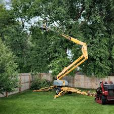 Best Lawn Grading and Leveling  in Deschutes River Woods, OR