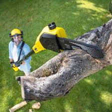 Best Lawn Drainage Solutions  in Deschutes River Woods, OR