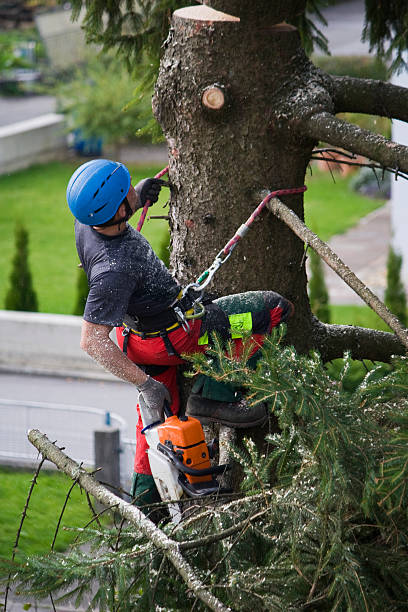 Best Emergency Tree Removal  in Deschutes River Woods, OR