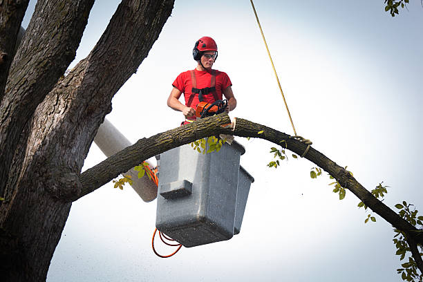 Mulching Services in Deschutes River Woods, OR